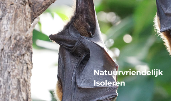 Natuurvriendelijk Isoleren